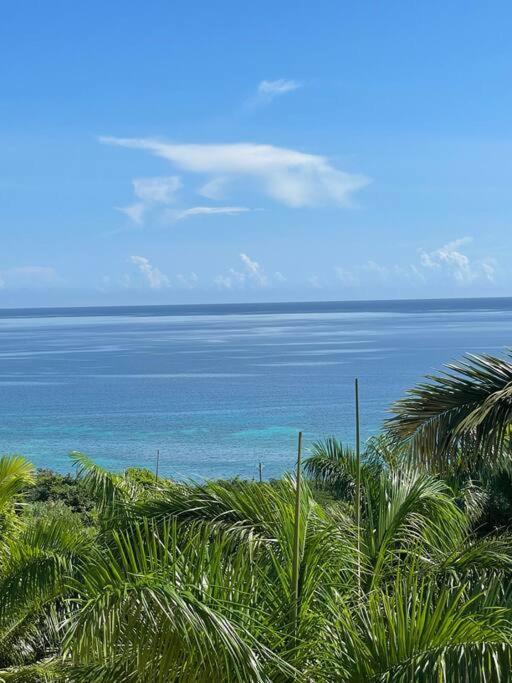 Spring Garden Mobay Resort Luxurious Apartments Montego Bay Dış mekan fotoğraf